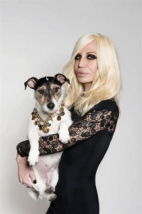 donatella versace audrey|Donatella Versace’s Dog Has the Best Life Ever .